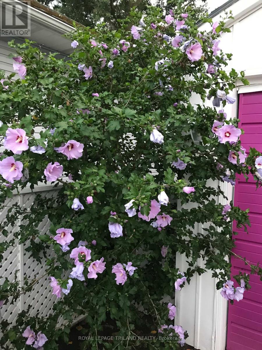 209 Water Street Property Photo 35