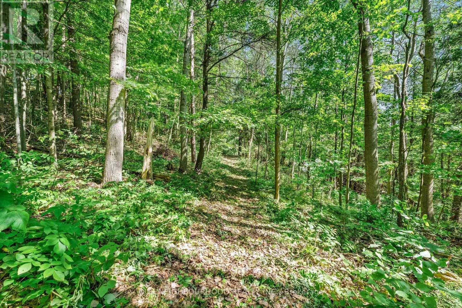 0 Shelter Valley (part 1) Road Property Photo 1