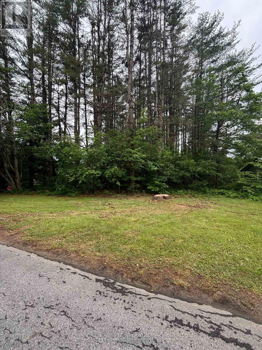 124 Frederick Street Property Photo 1