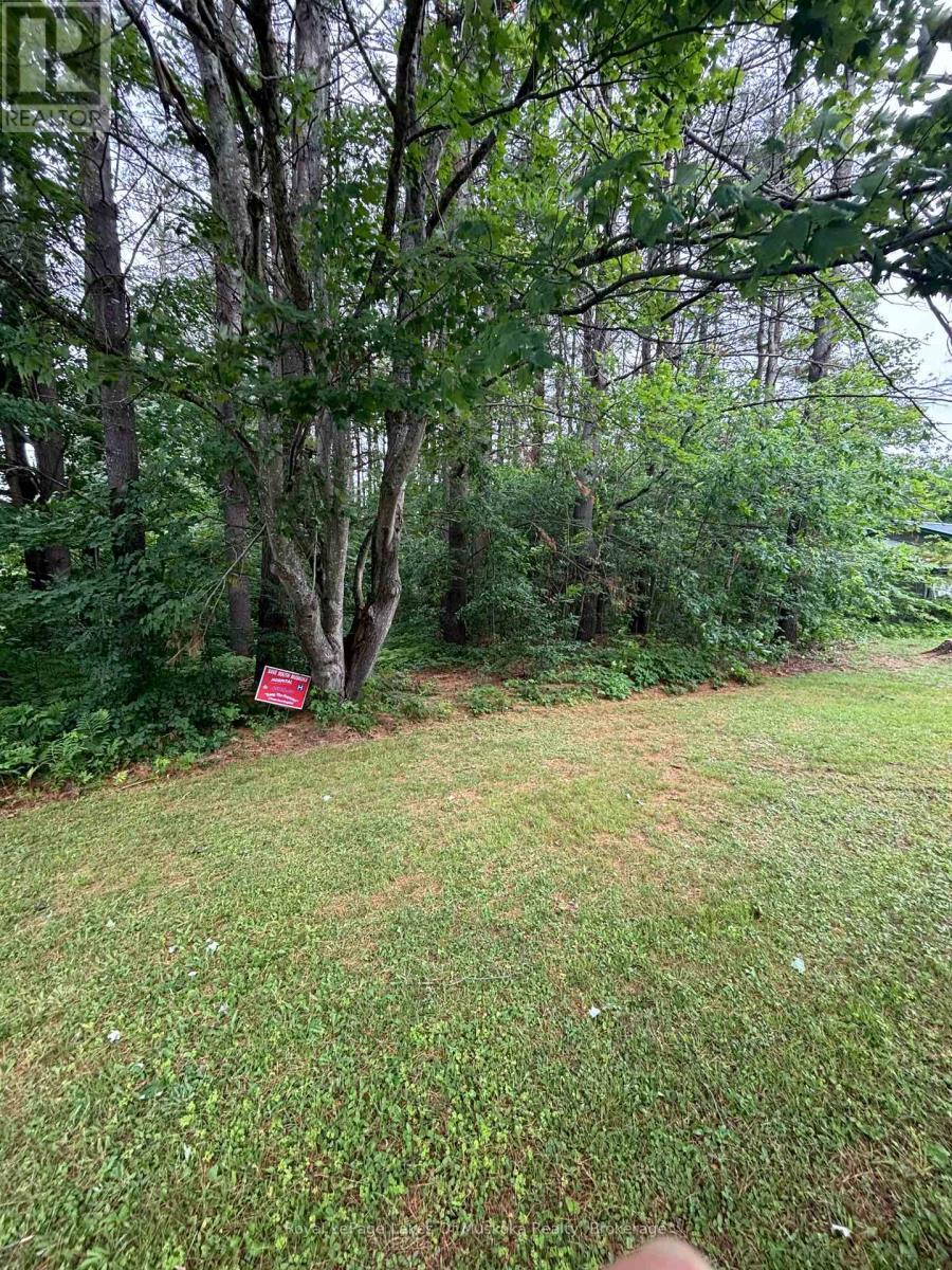 124 Frederick Street Property Photo 2