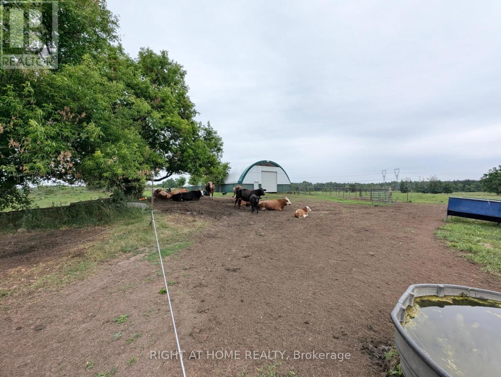 7232 Franktown Road Property Photo 17