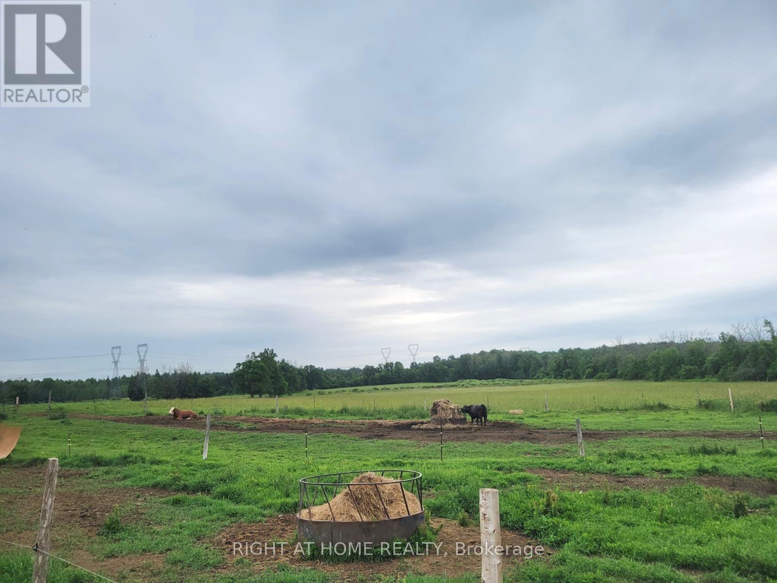 7232 Franktown Road Property Photo 22