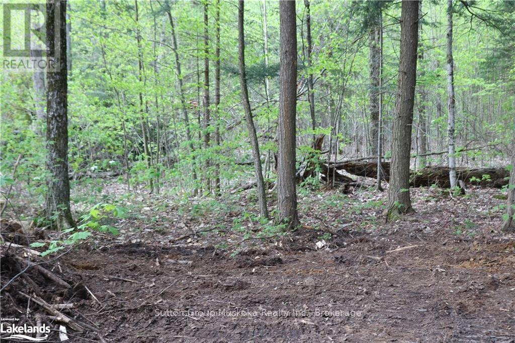 0 118 Highway E Property Photo 1