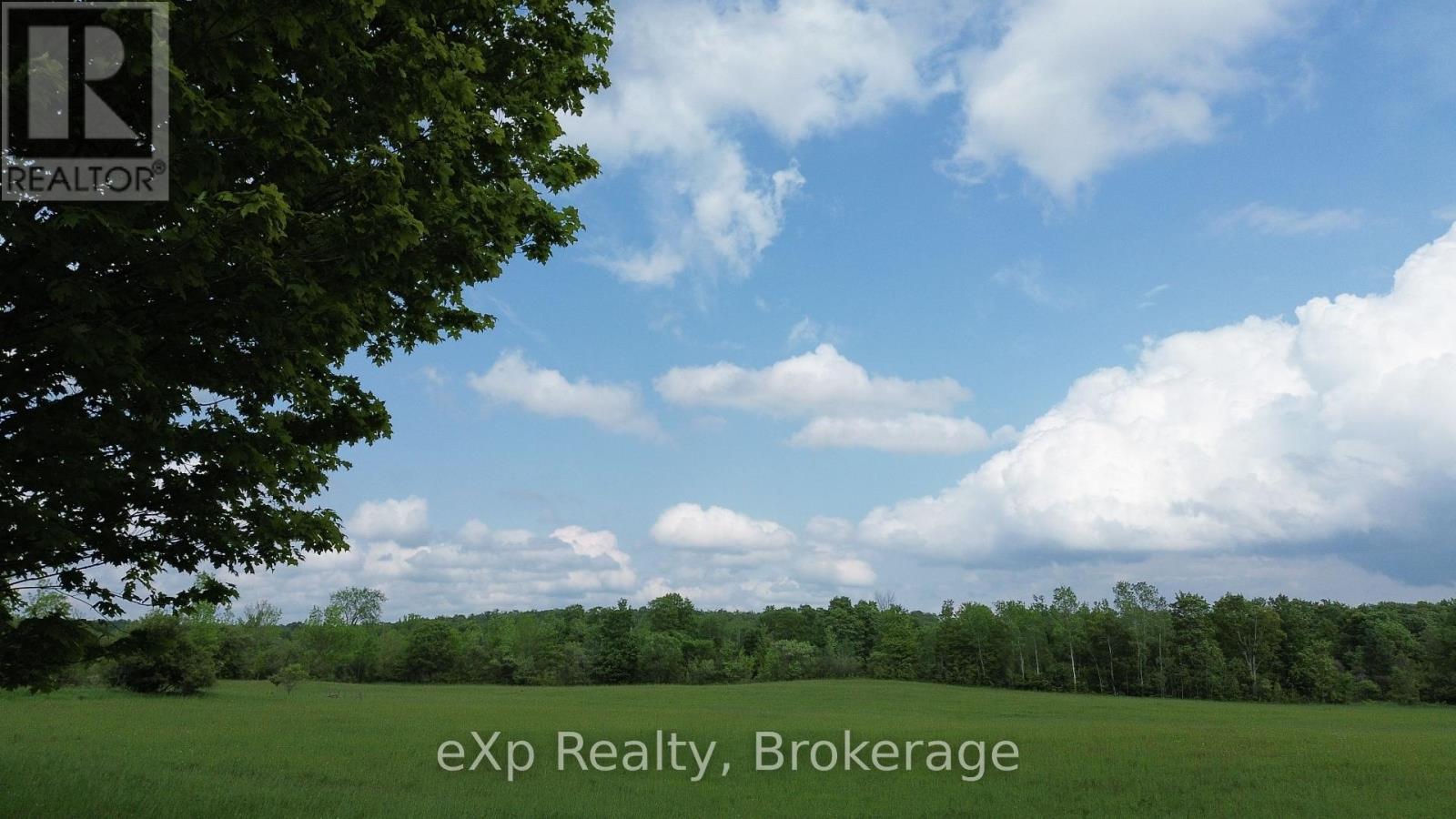 544267 Bell's Lake Road Property Photo 15