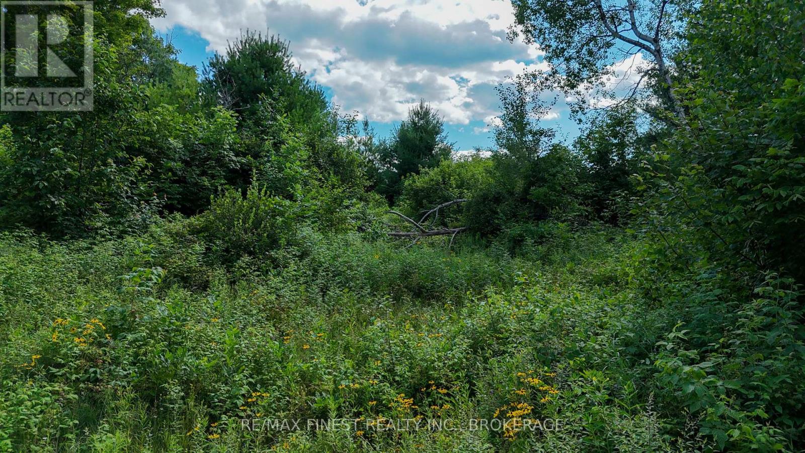 Lot 14 -15 0 Thunder Lane Property Photo 9