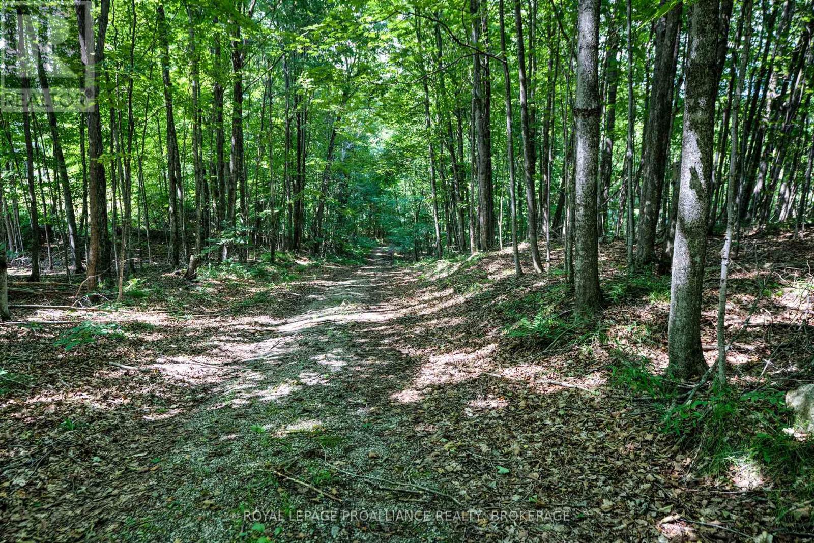 98 Rocky Ridge Lane Property Photo 3