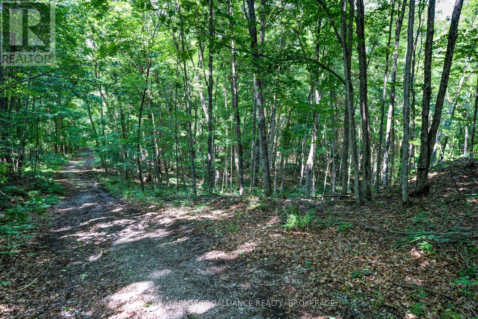 98 Rocky Ridge Lane Property Photo 4