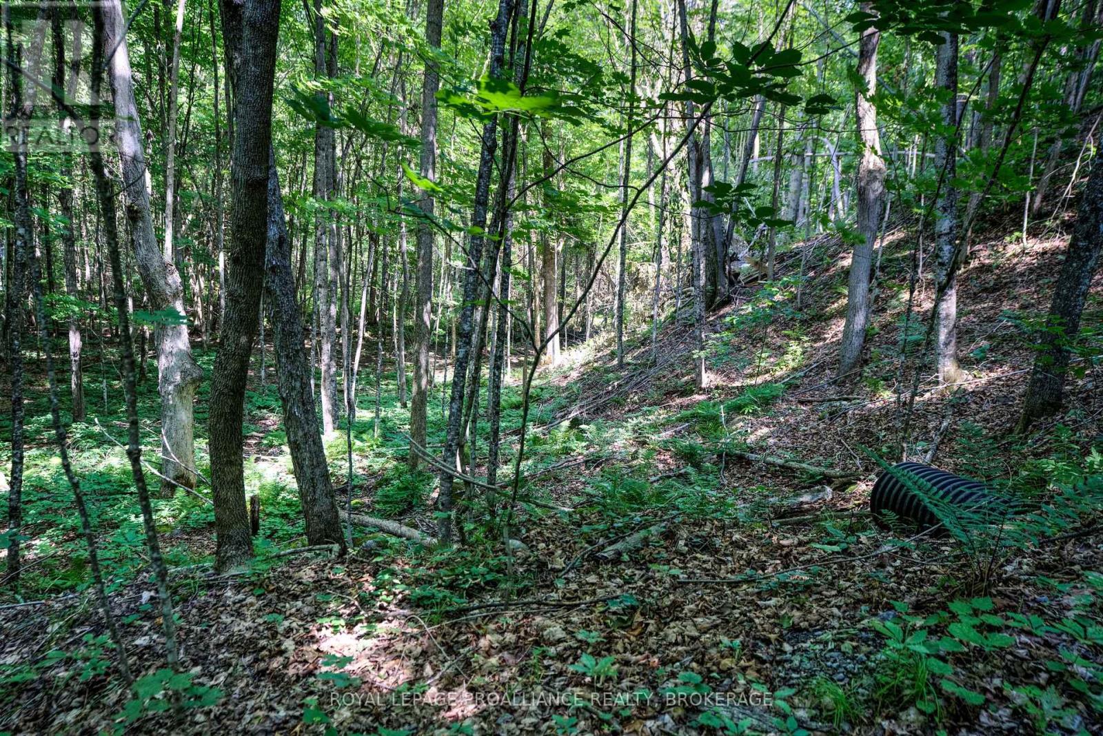 98 Rocky Ridge Lane Property Photo 5