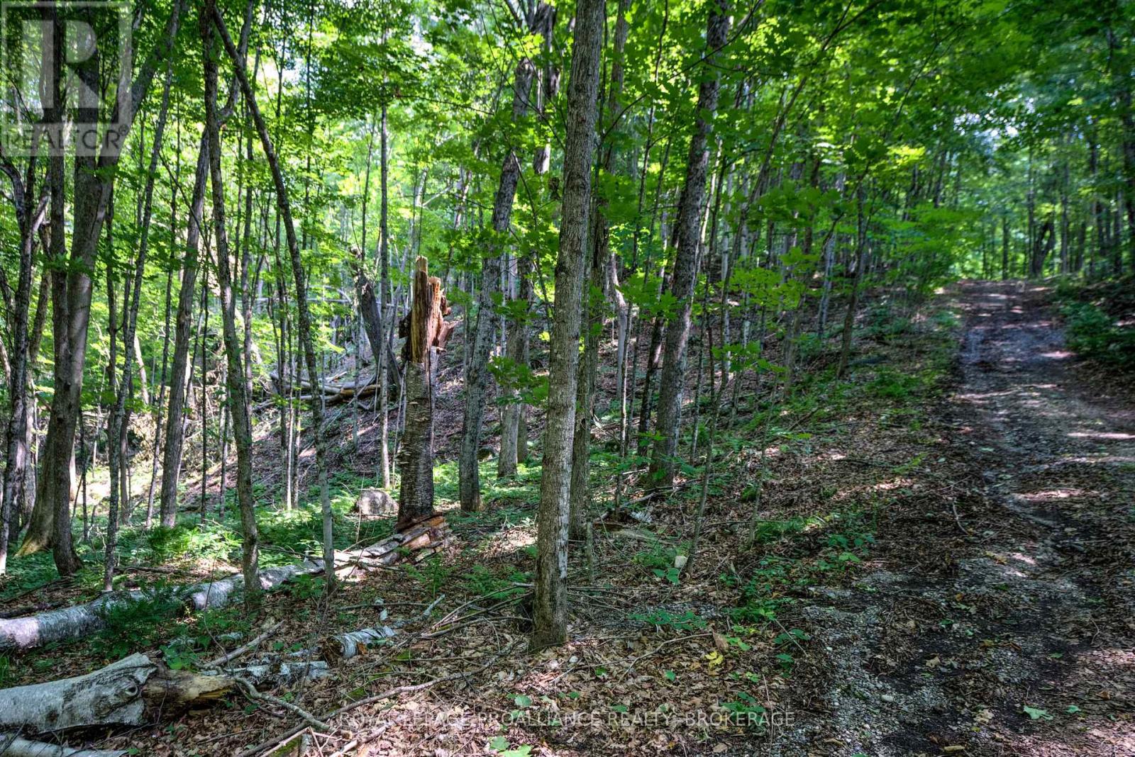 98 Rocky Ridge Lane Property Photo 6