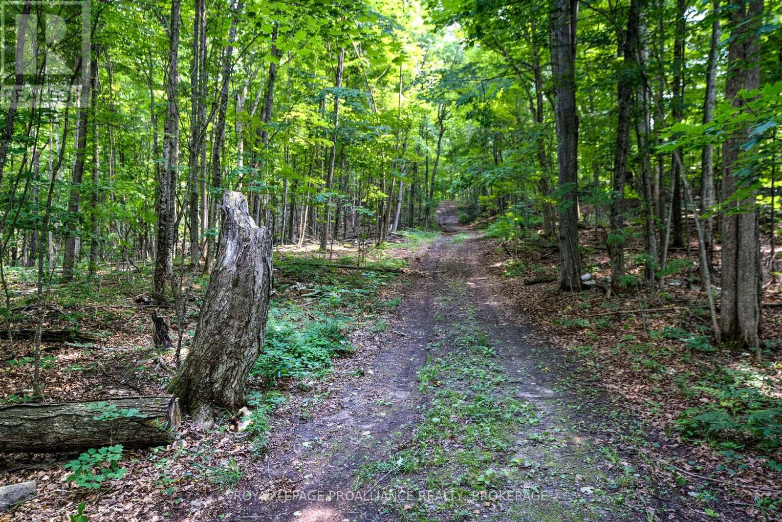 98 Rocky Ridge Lane Property Photo 7