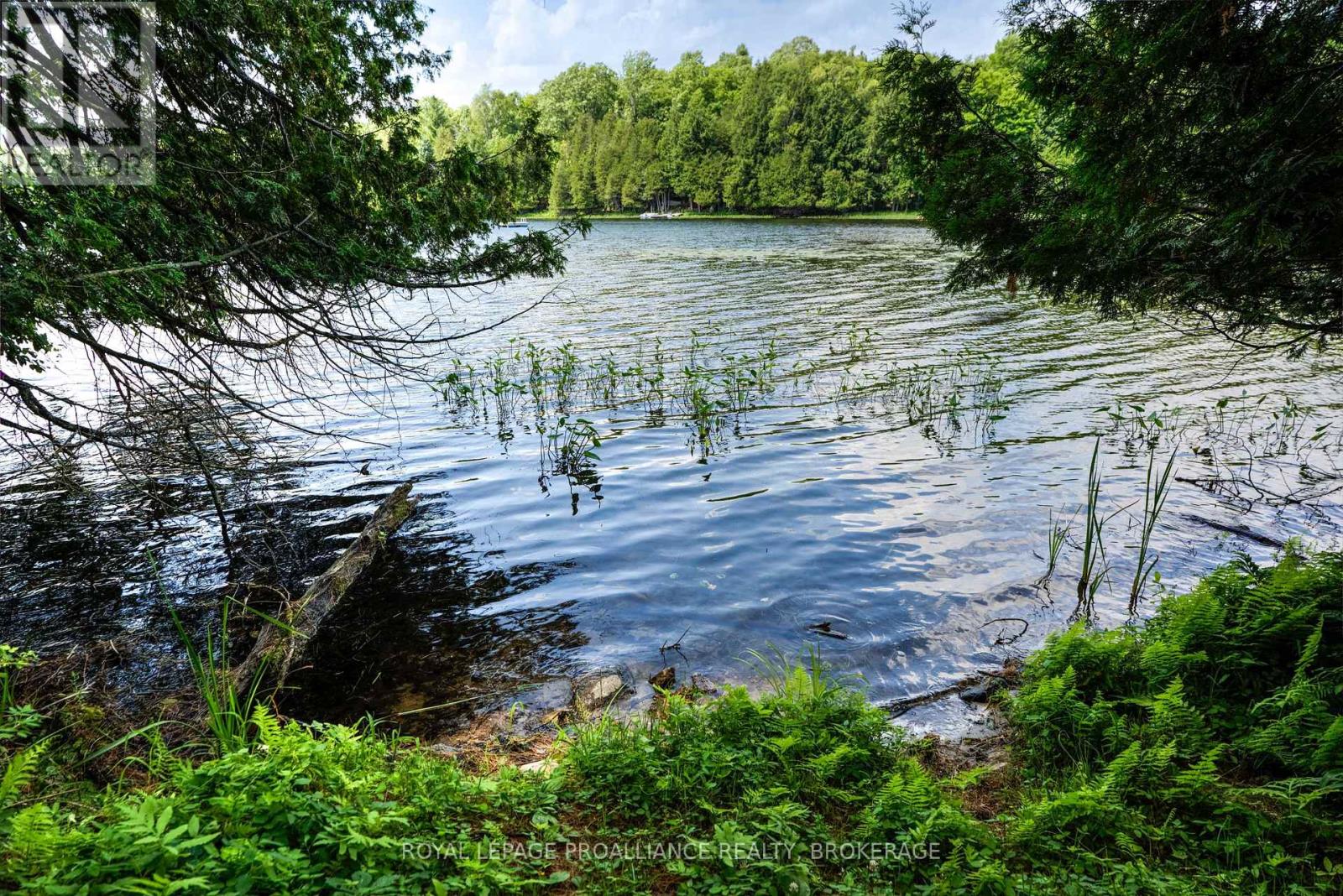 98 Rocky Ridge Lane Property Photo 9