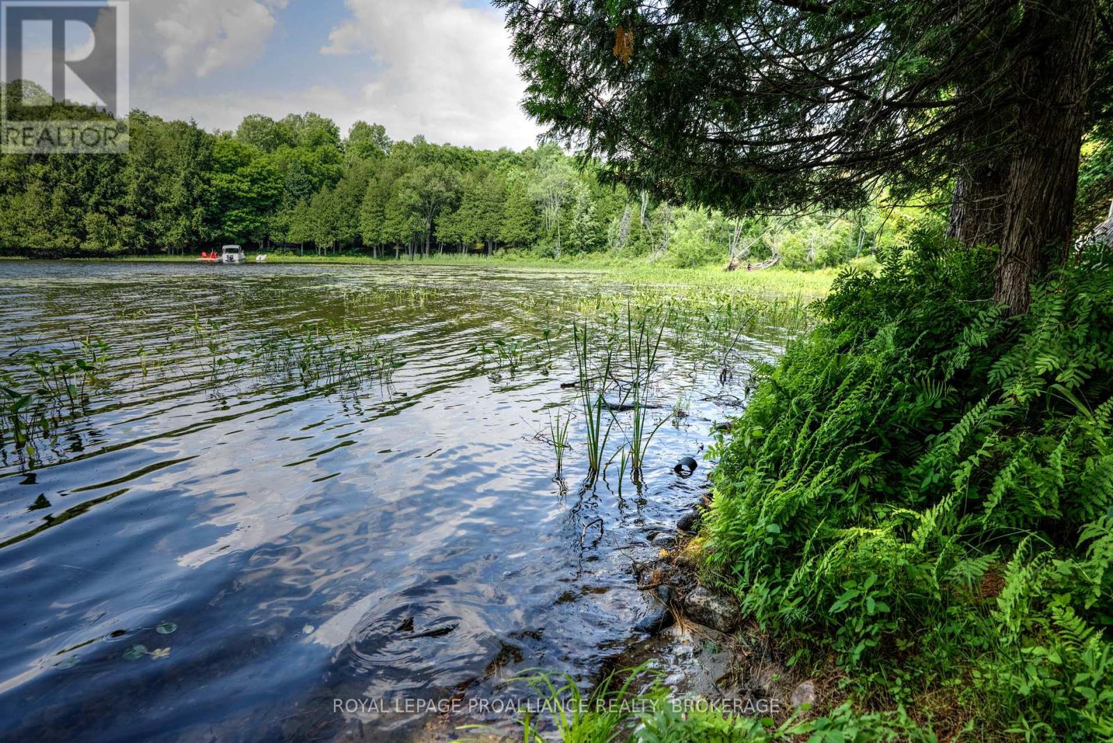 98 Rocky Ridge Lane Property Photo 10