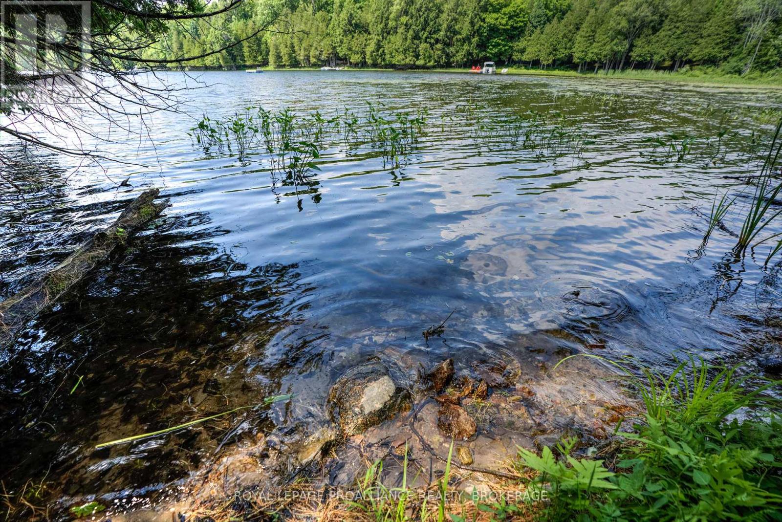 98 Rocky Ridge Lane Property Photo 11