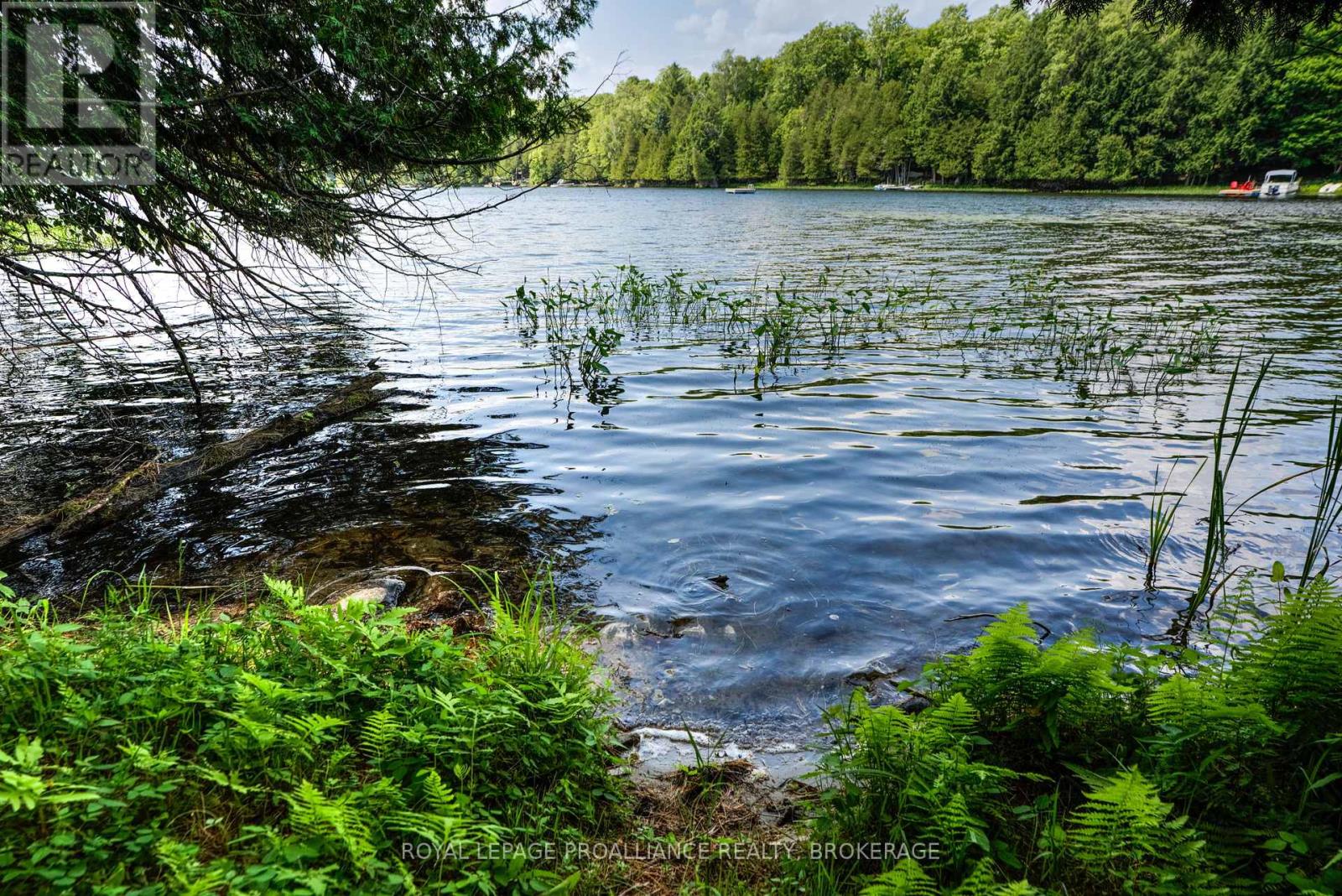 98 Rocky Ridge Lane Property Photo 31