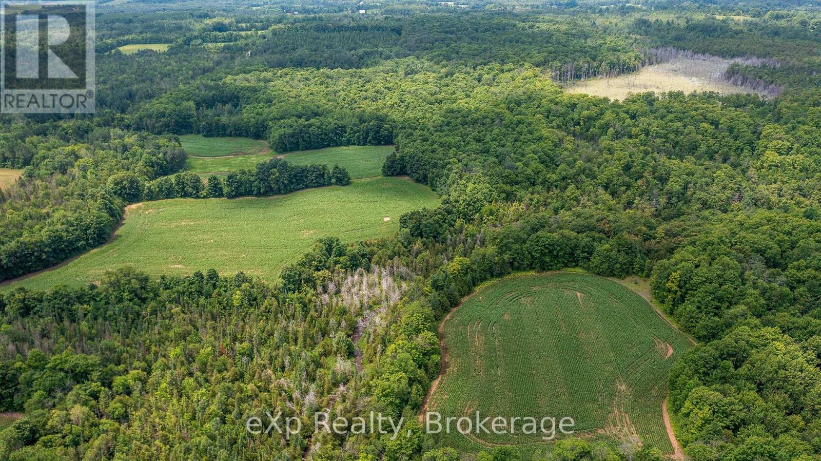 4558803 Concession 3b Property Photo 7