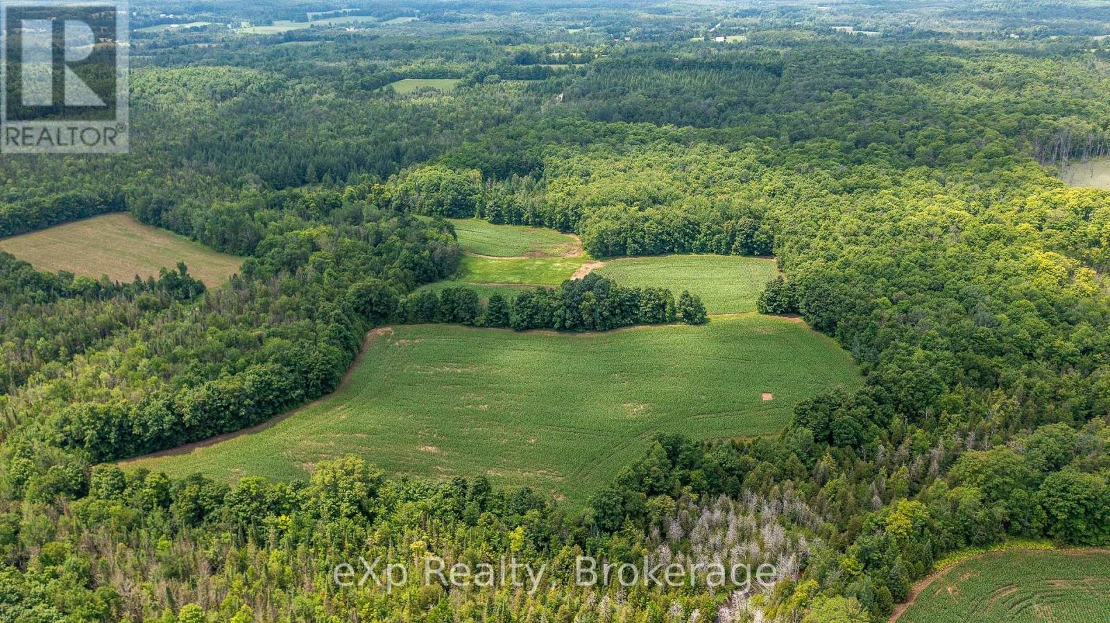 4558803 Concession 3b Property Photo 8