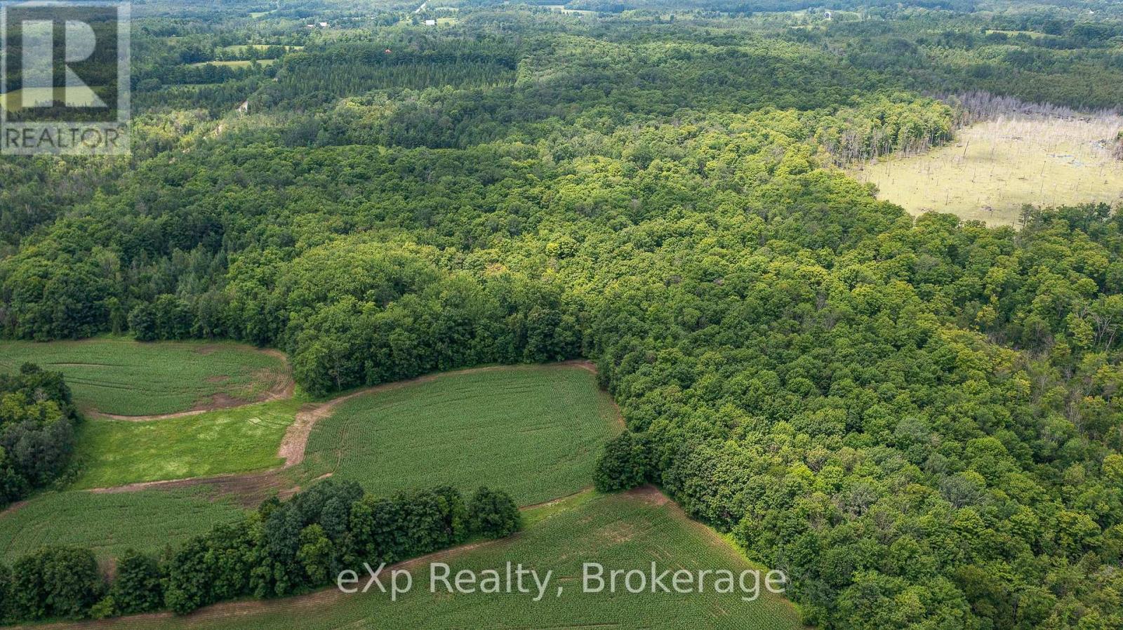 4558803 Concession 3b Property Photo 9