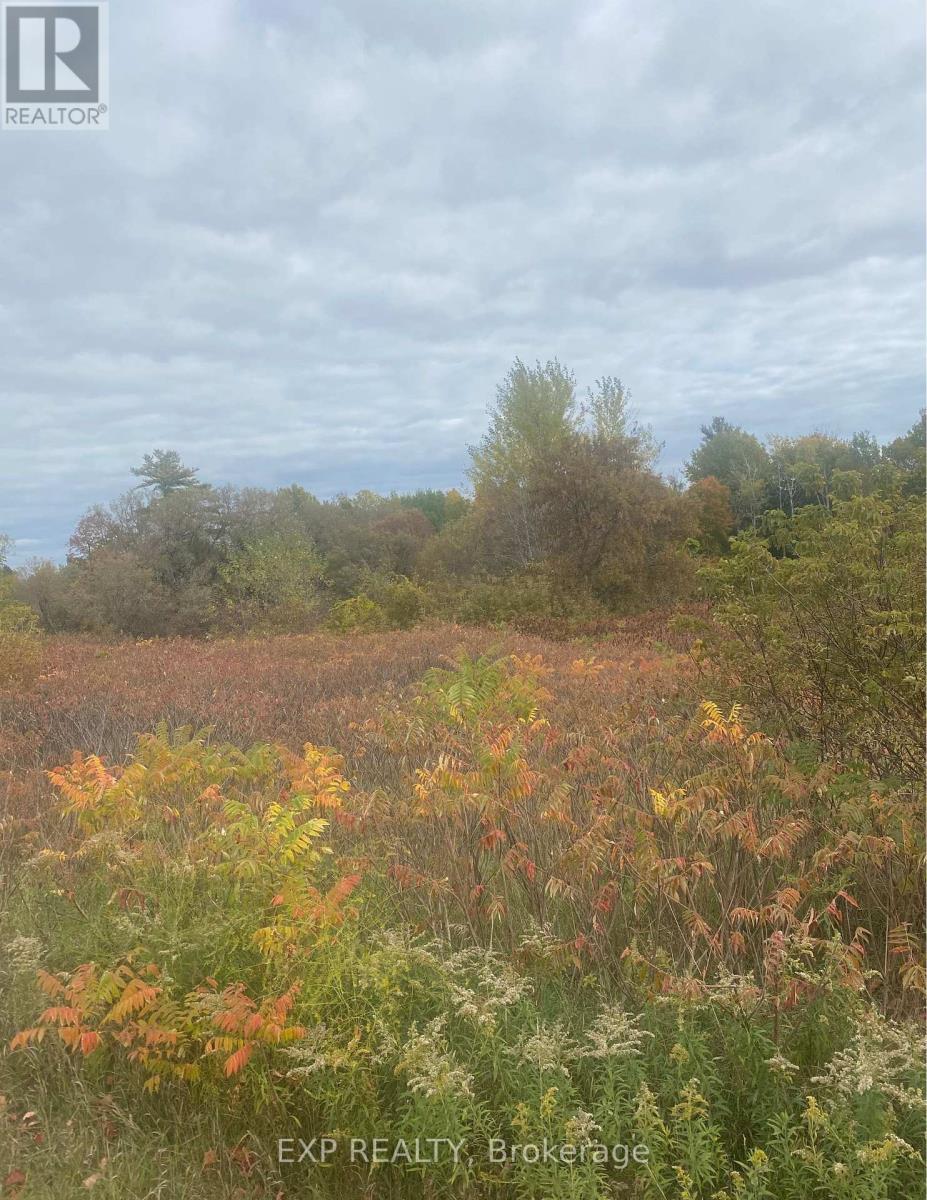 0 County Road 2 Road Property Photo 1