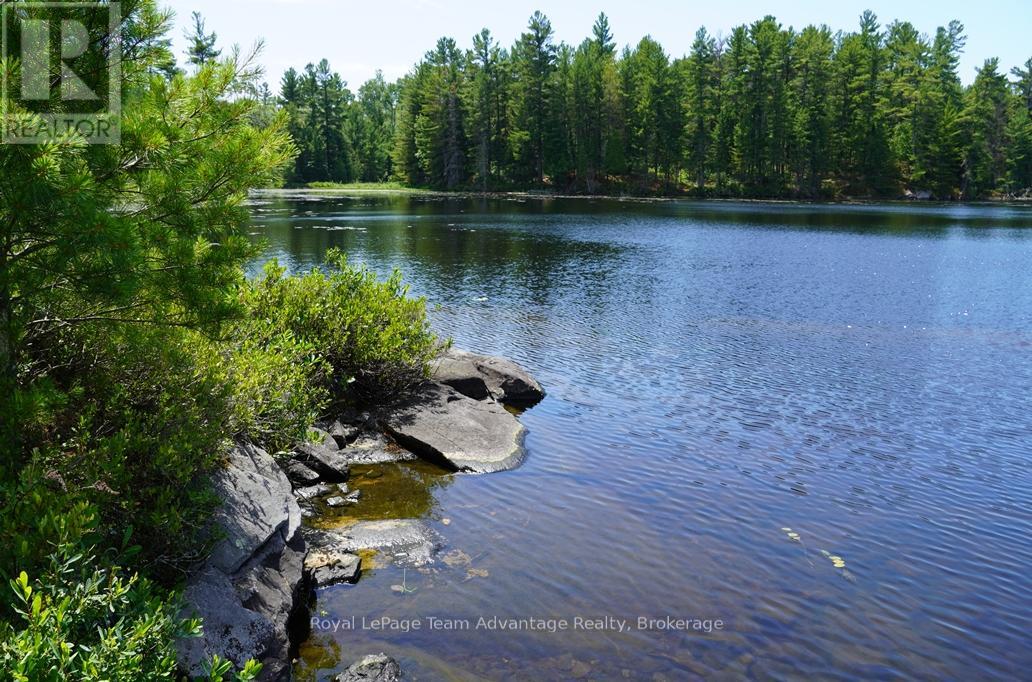 Ae 380 & Jdd 651 Bird Lake Property Photo 22
