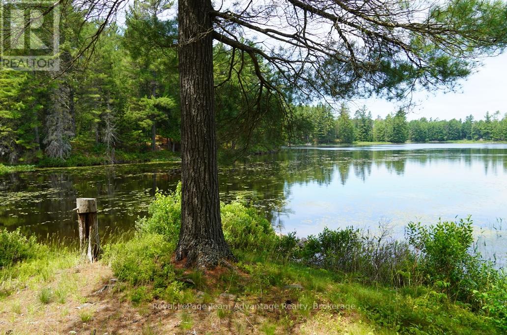 Ae 380 & Jdd 651 Bird Lake Property Photo 39