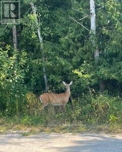 25 I Street Property Photo 16