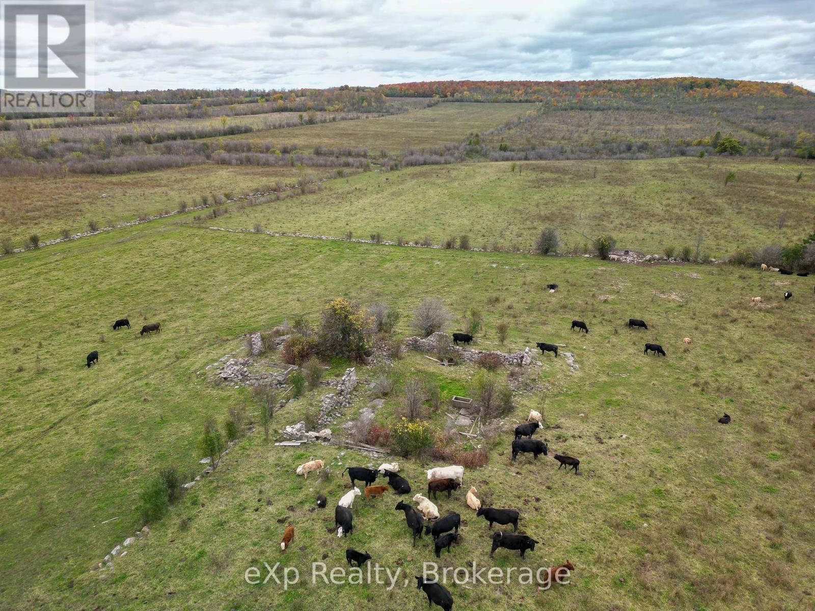 32 St Vincent Sydenham Townline Property Photo 2