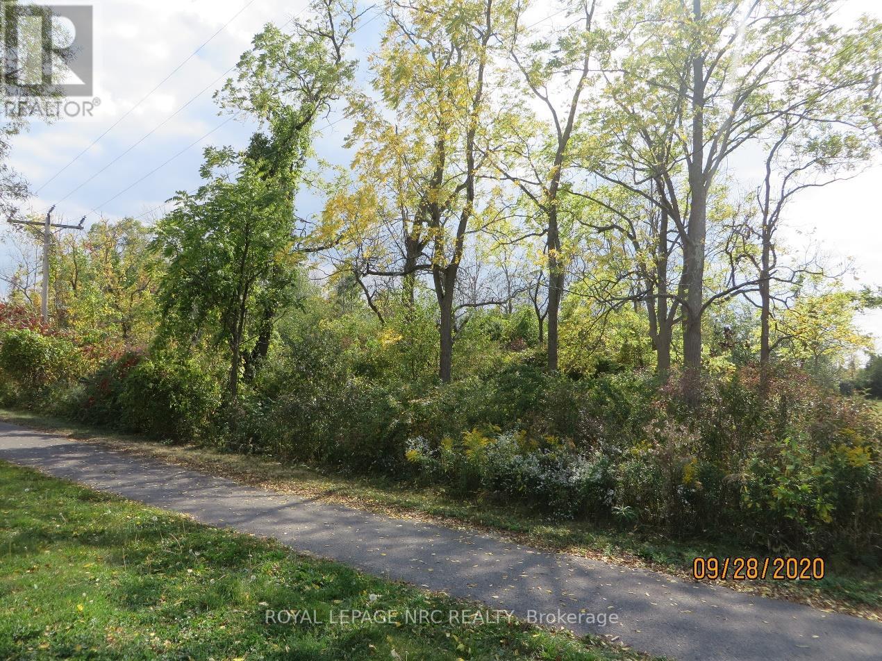 Lot 2 - 3779 Niagara Parkway Property Photo 5