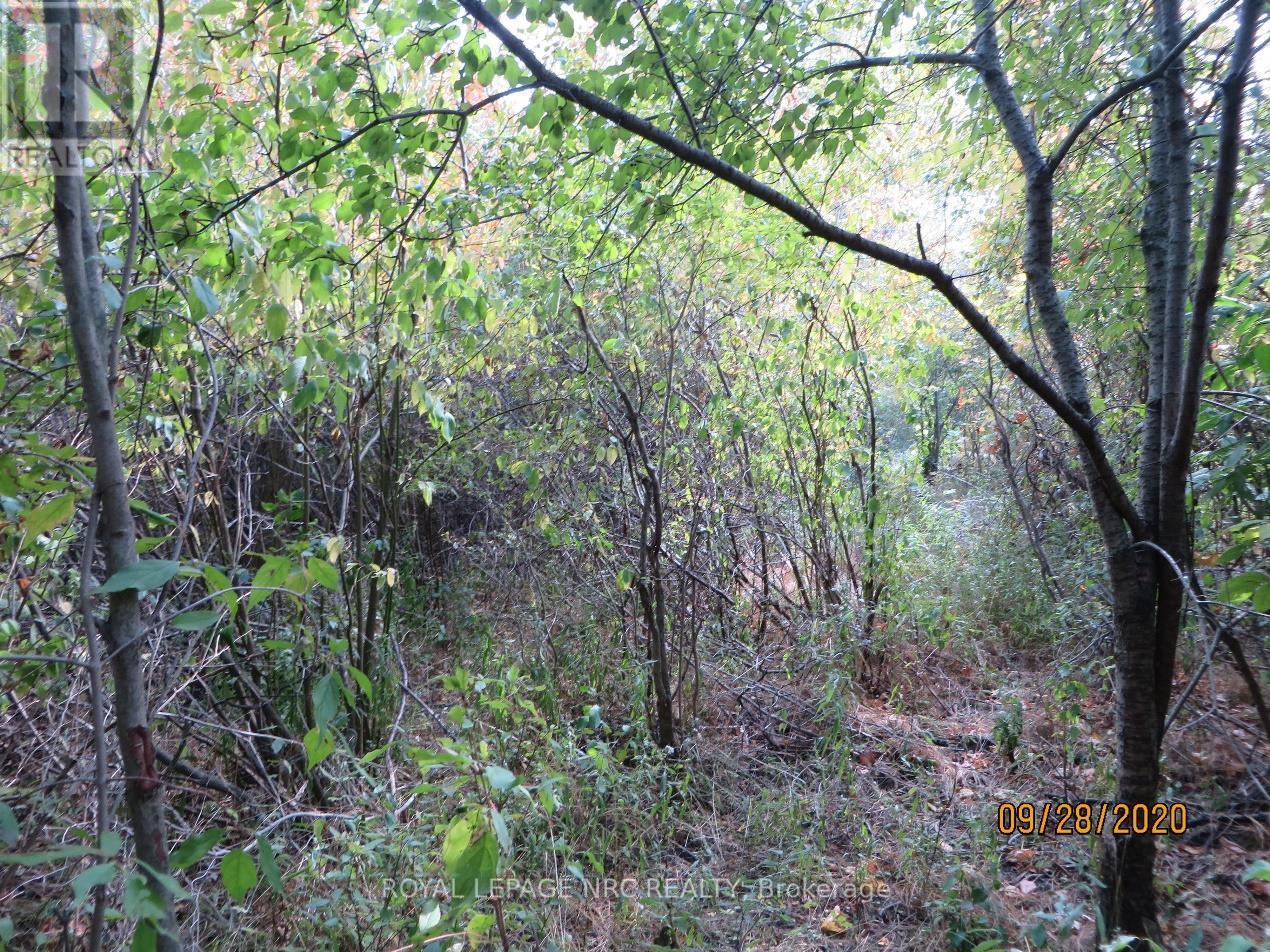 Lot 2 - 3779 Niagara Parkway Property Photo 6