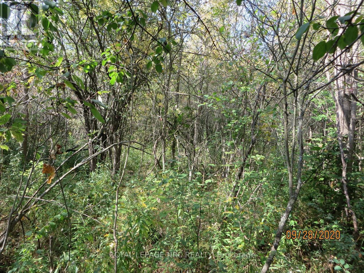 Lot 2 - 3779 Niagara Parkway Property Photo 7