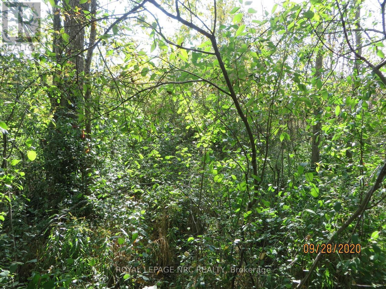 Lot 2 - 3779 Niagara Parkway Property Photo 8