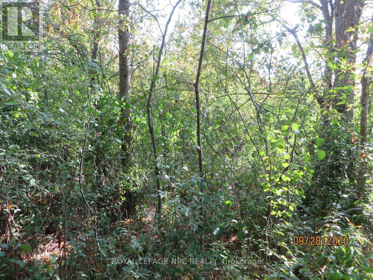 Lot 2 - 3779 Niagara Parkway Property Photo 9
