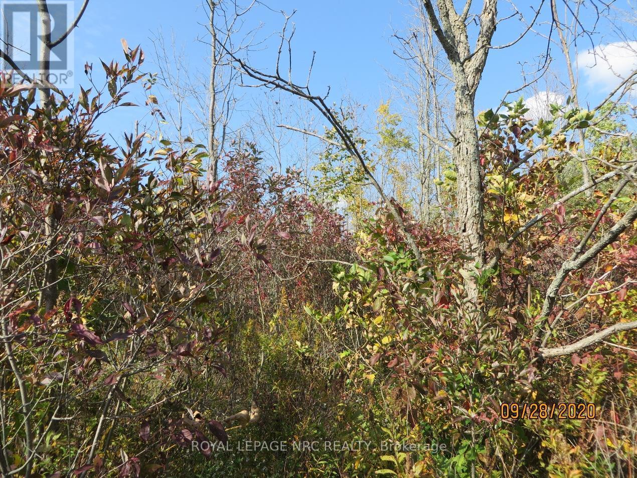 Lot 2 - 3779 Niagara Parkway Property Photo 10