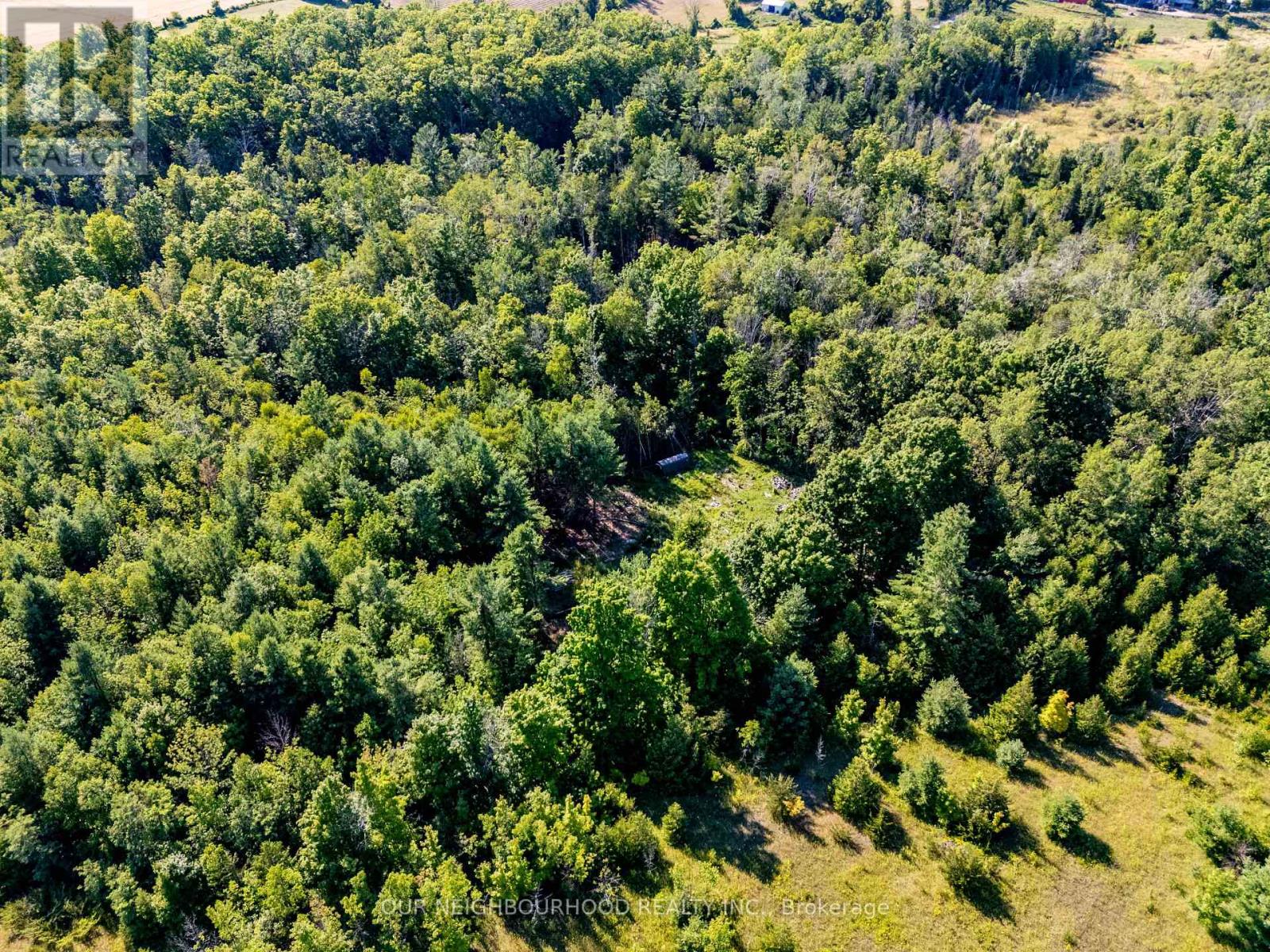 114 Baxter Road Property Photo 10