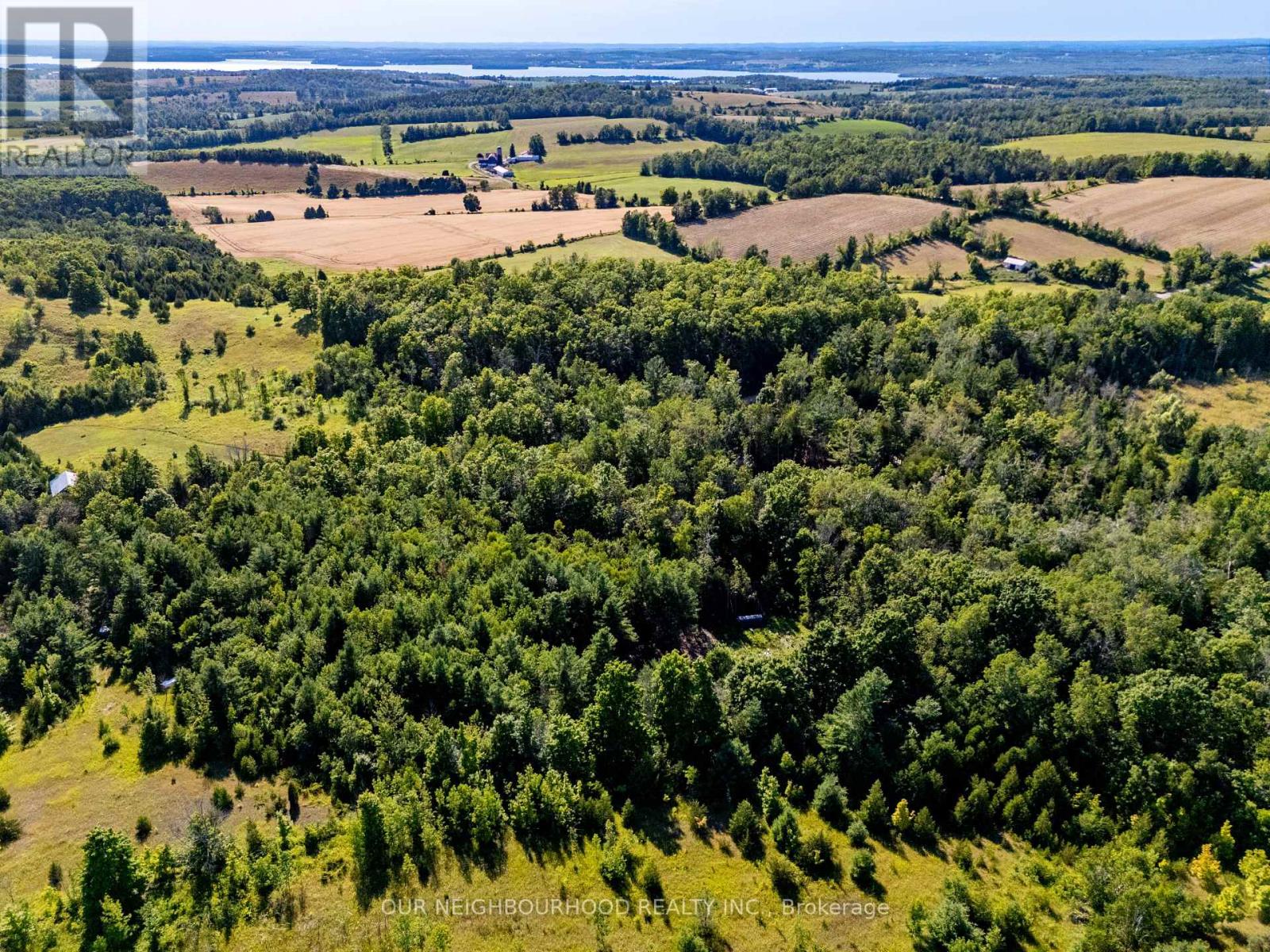 114 Baxter Road Property Photo 11