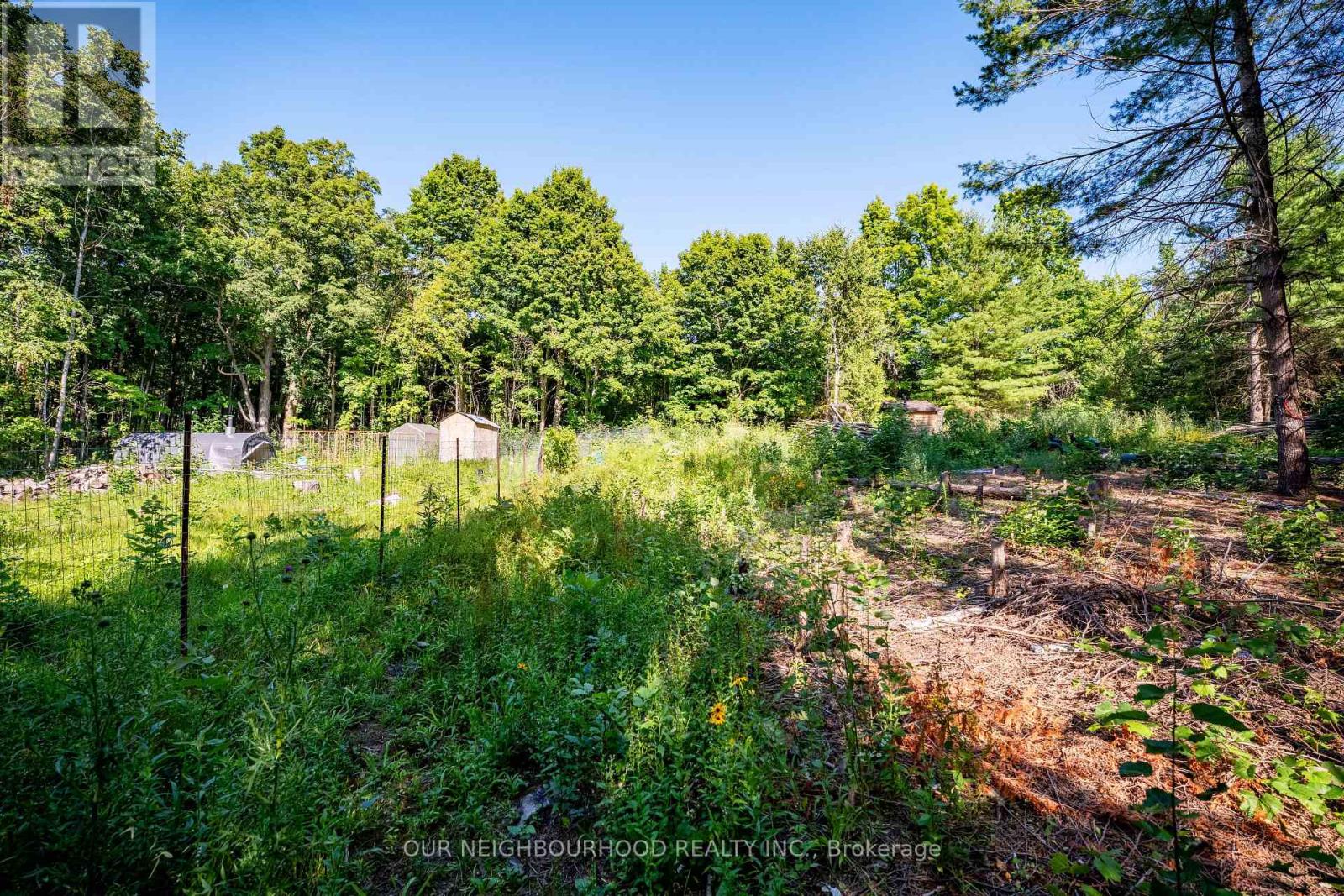 114 Baxter Road Property Photo 16