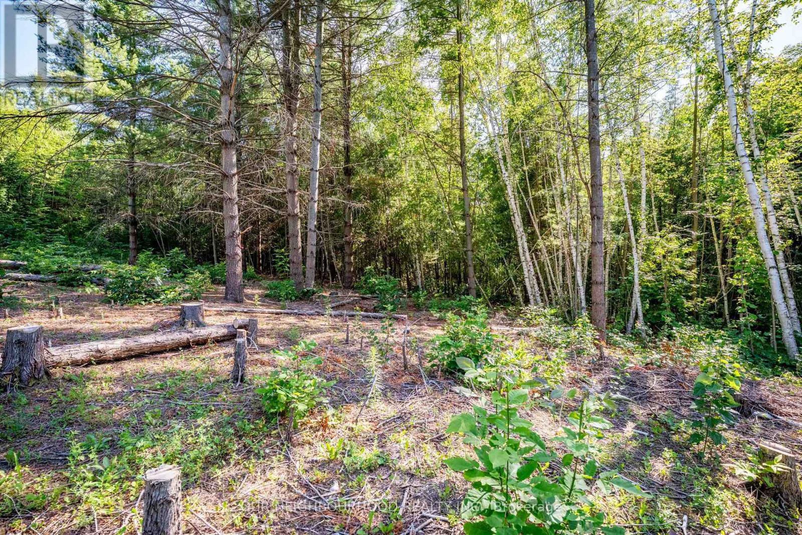 114 Baxter Road Property Photo 19