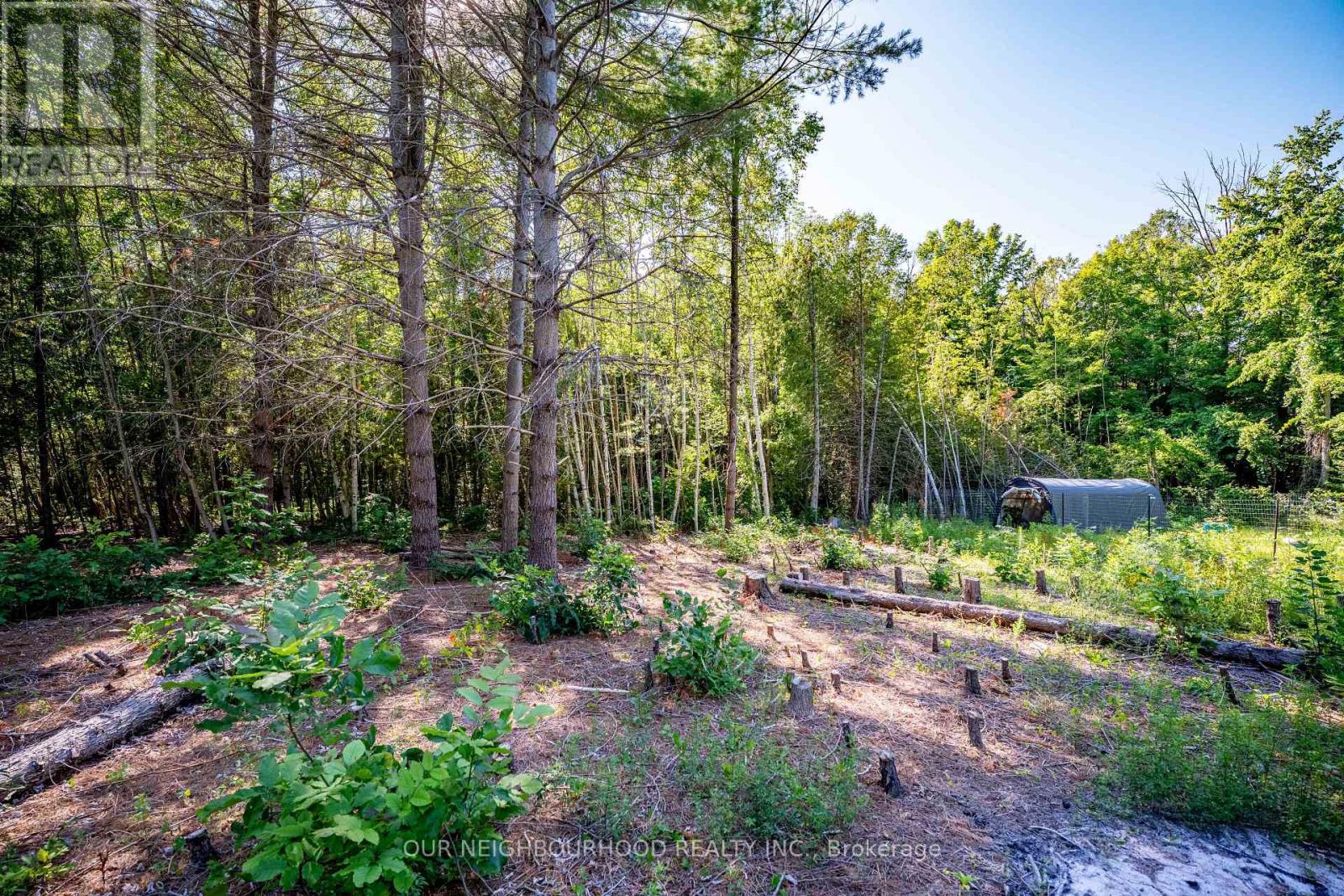 114 Baxter Road Property Photo 20