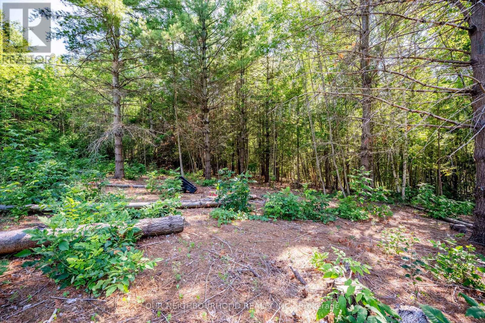 114 Baxter Road Property Photo 21