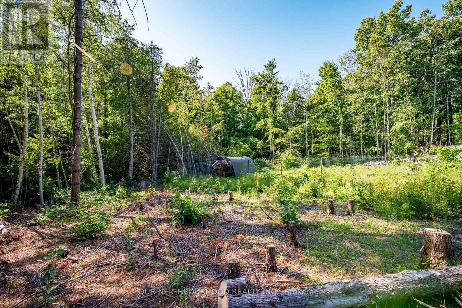 114 Baxter Road Property Photo 22