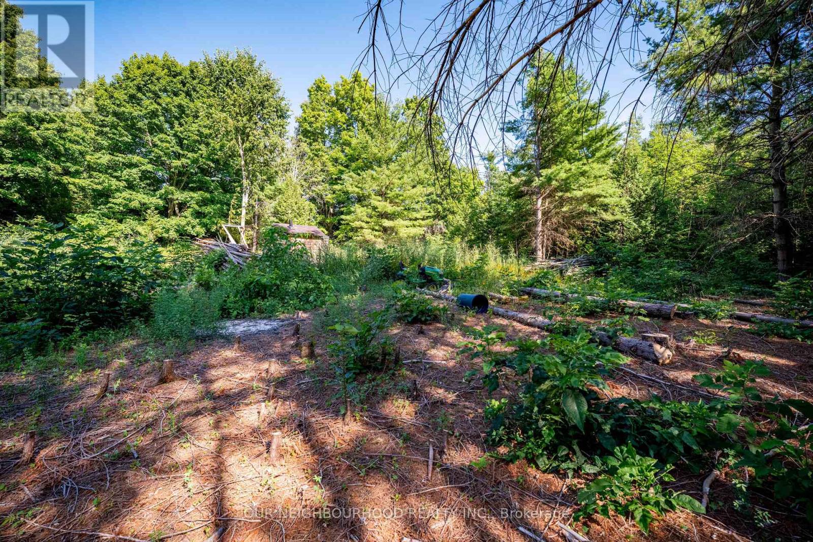 114 Baxter Road Property Photo 23