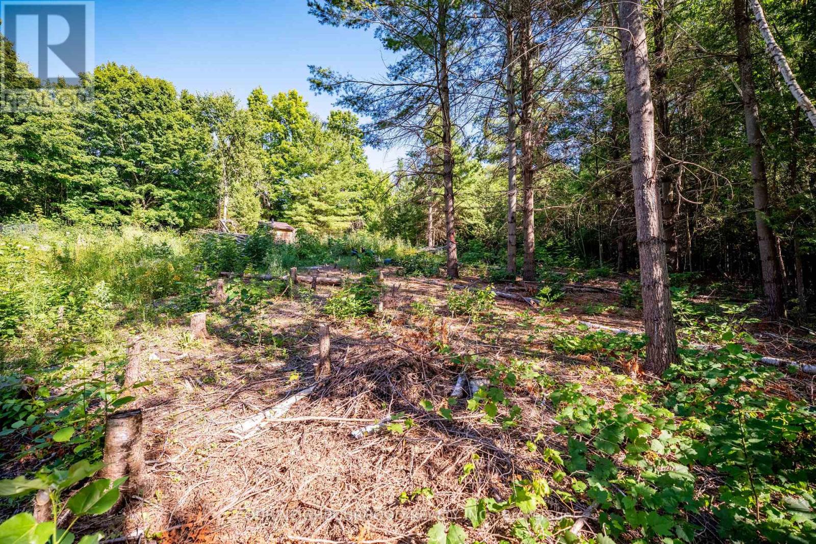 114 Baxter Road Property Photo 24