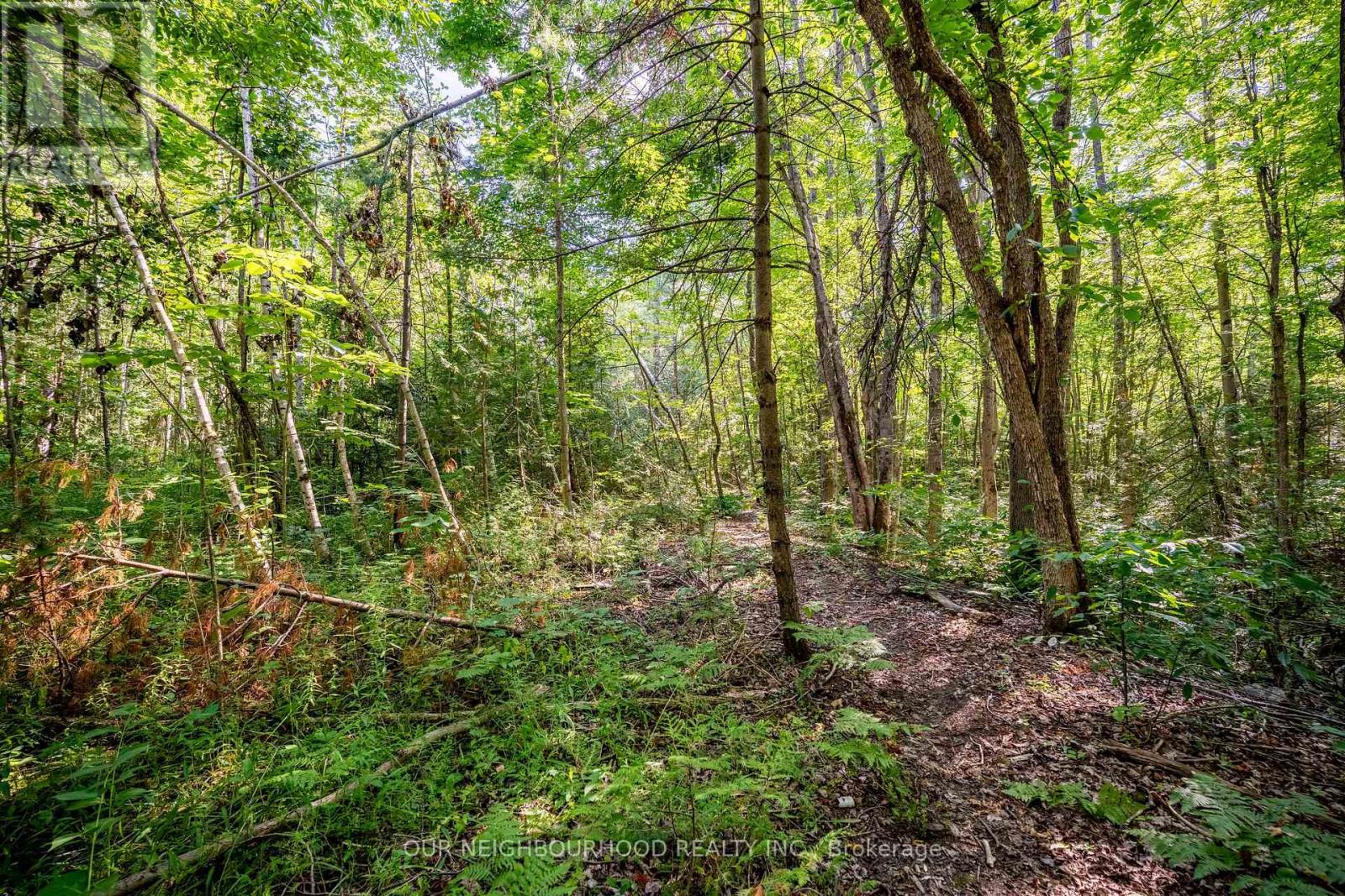 114 Baxter Road Property Photo 27