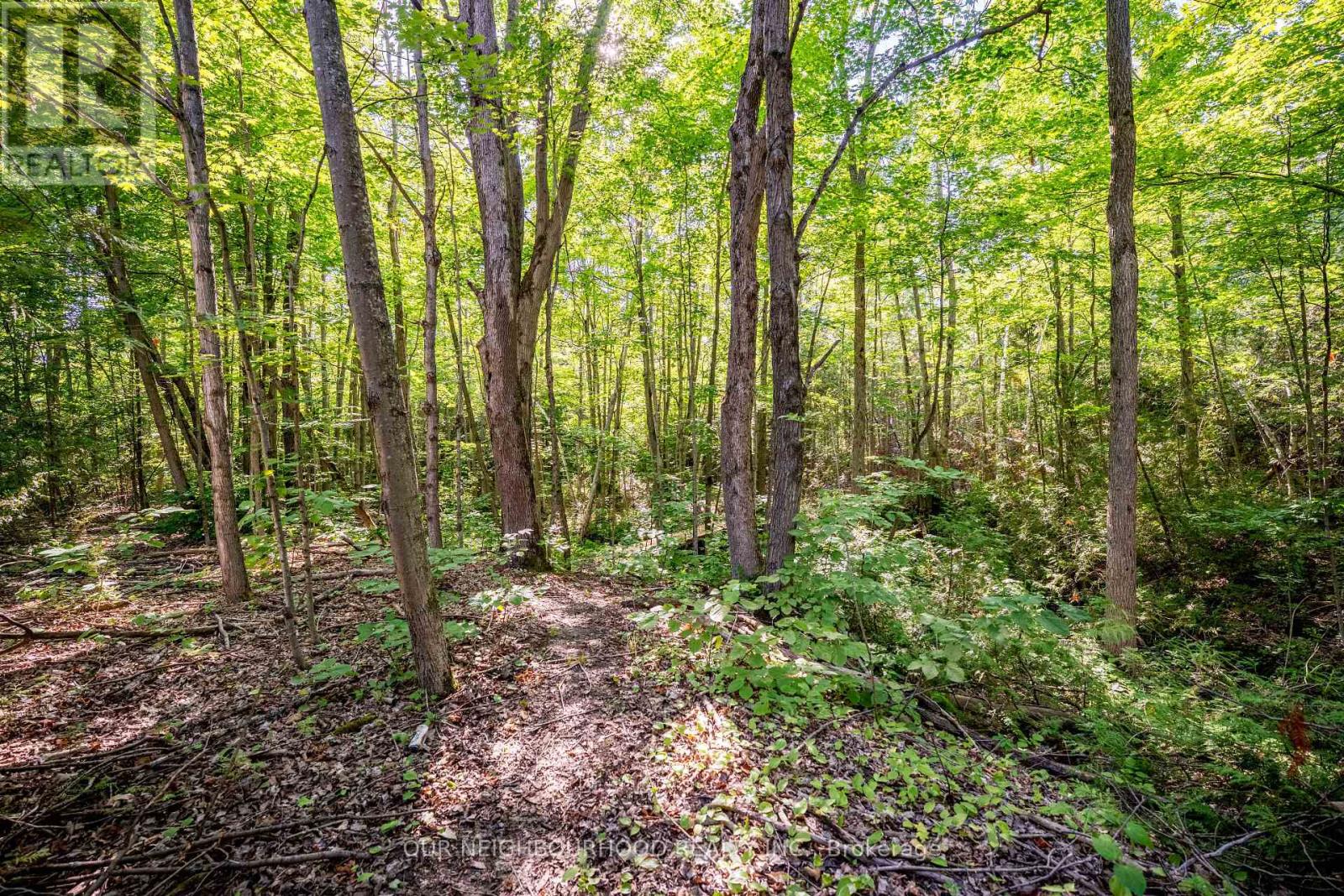 114 Baxter Road Property Photo 28