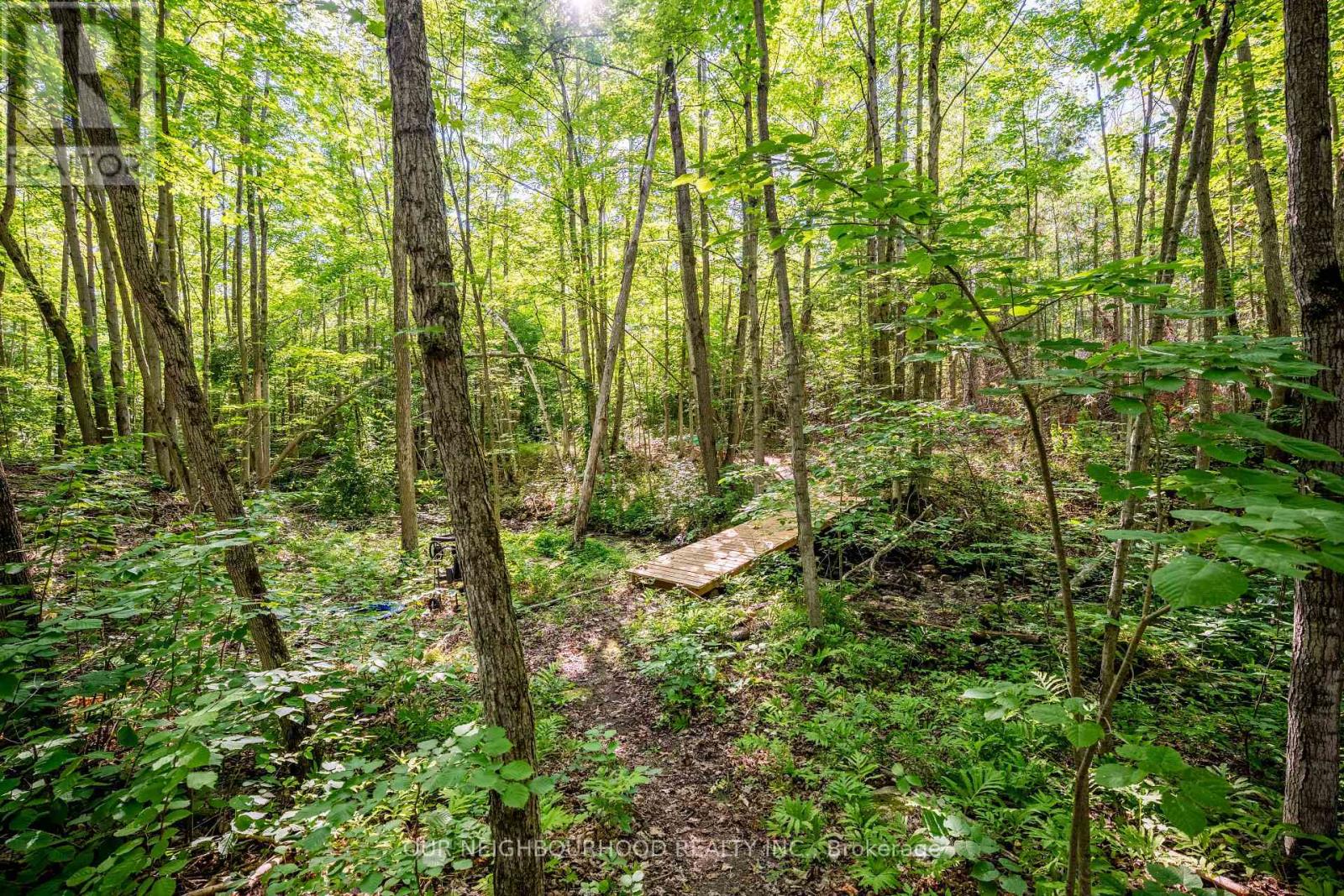 114 Baxter Road Property Photo 29