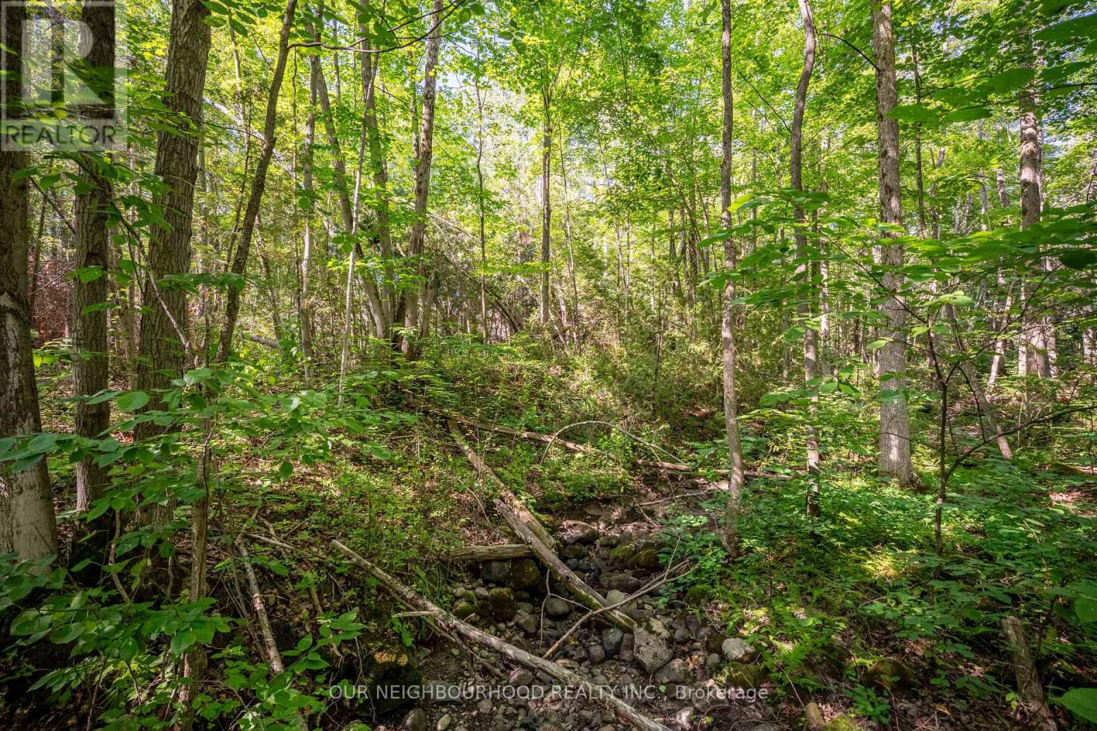 114 Baxter Road Property Photo 31