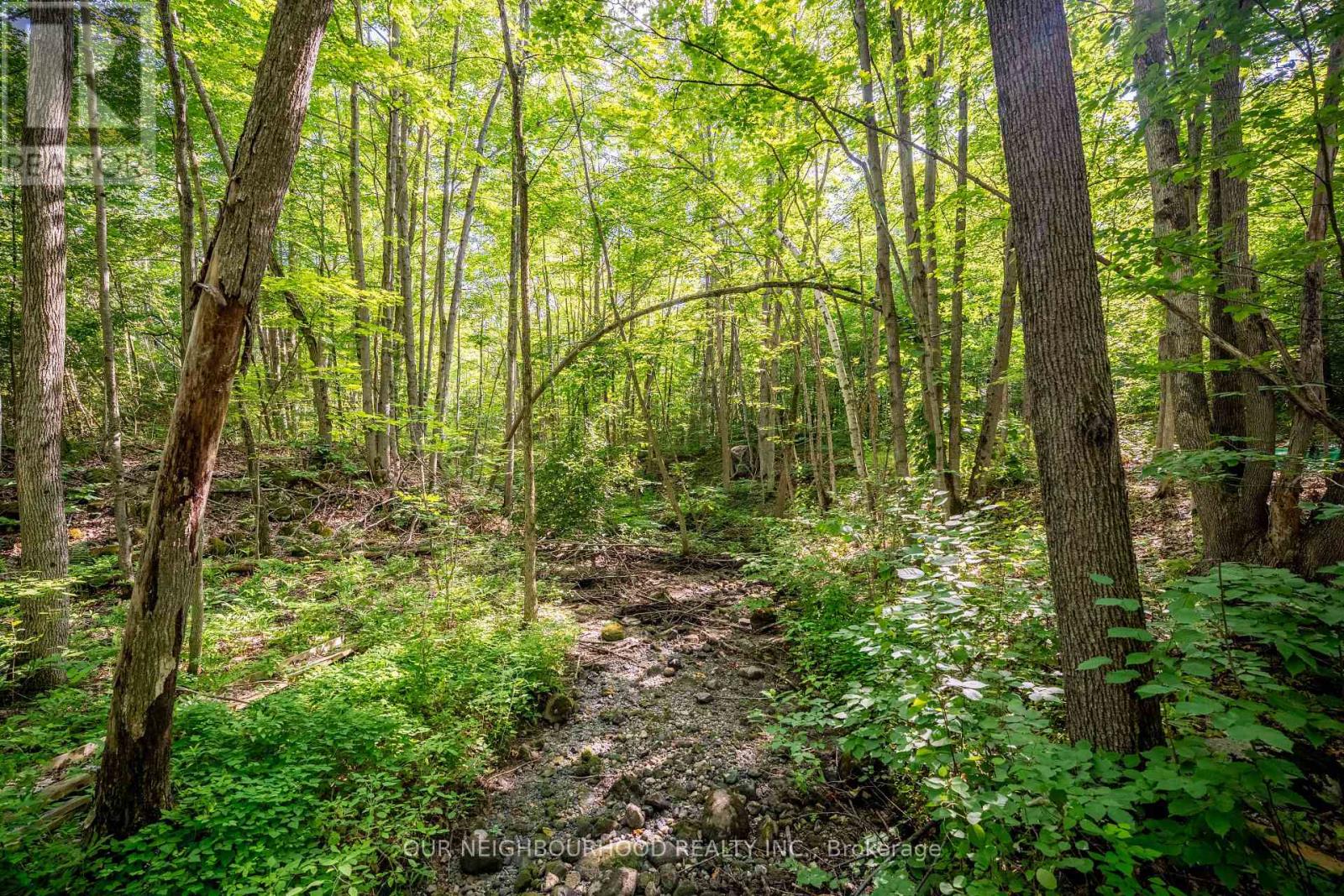 114 Baxter Road Property Photo 32