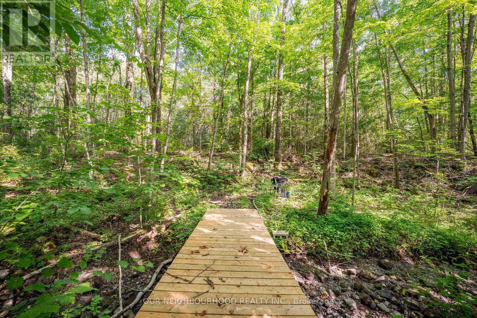 114 Baxter Road Property Photo 33