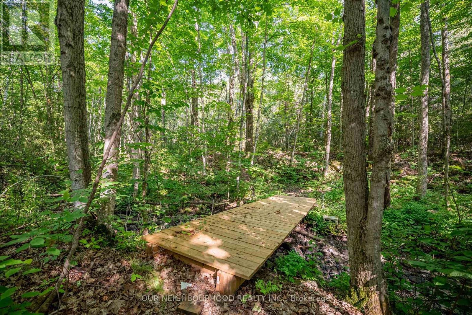 114 Baxter Road Property Photo 34