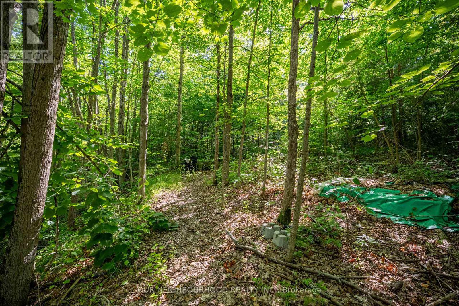 114 Baxter Road Property Photo 36