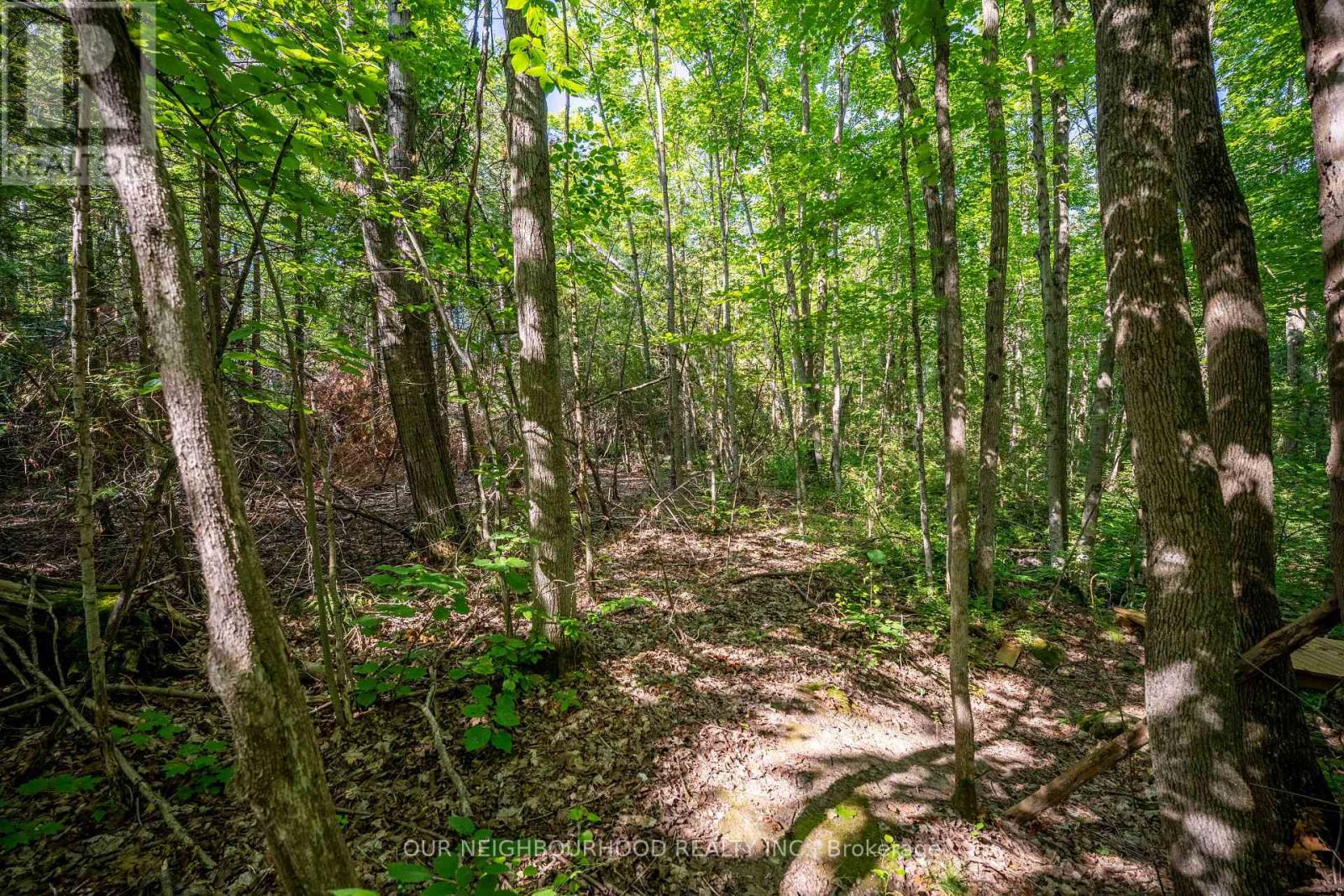 114 Baxter Road Property Photo 37